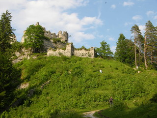 Fototapeta na wymiar Castle Ruins in Austria