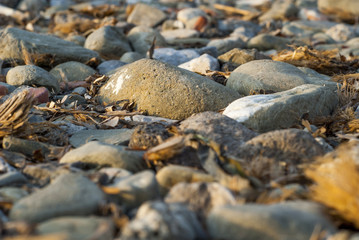 Rocky beach on a warm day