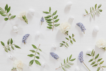 Easter pattern from green leaves, little eggs, grape hyacinths and gillyflowers on white wooden background