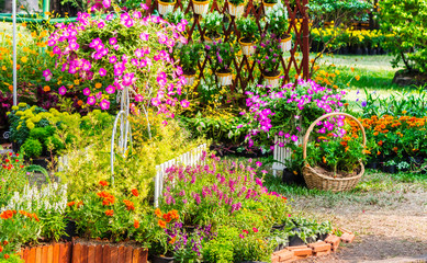 Cozy home garden on summer./ Cozy home flower garden and flower pot on summer.
