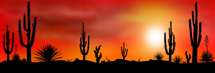 Mexico desert sunset 2. The stony desert