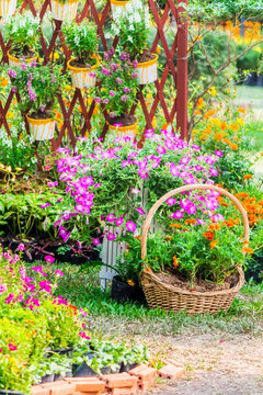 Cozy home garden on summer./ Cozy home flower garden and flower pot on summer.
