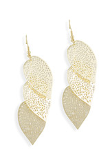 gold earrings with leaves isolated on white