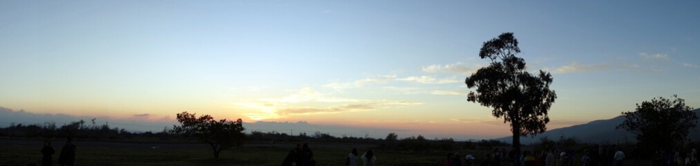 ハワイ島（キラウエア、銀剣草）