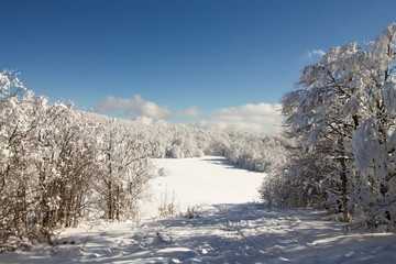beautiful snowy landscape on the hills in winter