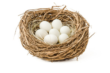Eier im Nest