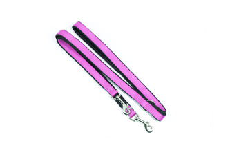Leash of pink for dog.  Pet accessories concept.
