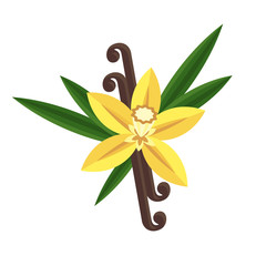 Vanilla flower with stitch and leaves. Spice for baking, pastry, cakes, for culinary products. Flat vector cartoon illustration. Objects isolated on white background.