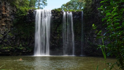 Dangar Falls | Wasserfall in Dorrigo, Australien, NSW
