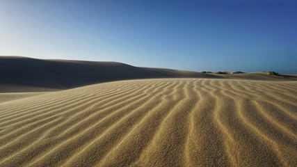 Wüste | Sandwüste am Birubi Beach, NSW, Port Stephens, Australien