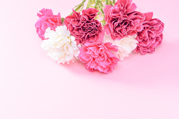 May Mother's Day Carnation Bunch of Flowers Bouquet Top View, Blank for Text, Pink