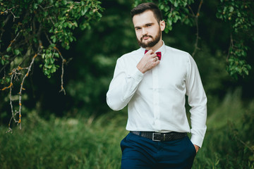 stylish. bearded groom in a butterfly posing in the Park. Rustic hipster portrait.