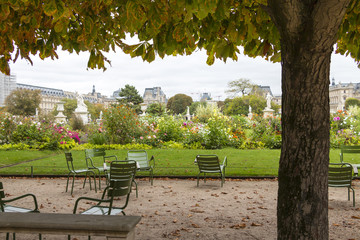 Autumn in Tuileries Garden, public garden in Paris, France. Selective focus.