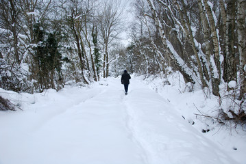 Walking in a snowy forest
