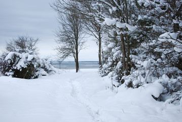 Winter view by the coast