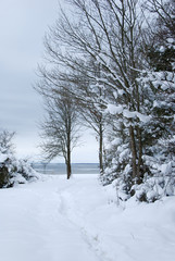 Coastal winter landscape