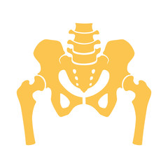 Fragment of the structure of the human skeleton. Pelvic girdle and thighs. Silhouette. Icon. Sign. Vector. - obrazy, fototapety, plakaty
