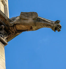 Fototapeta na wymiar Paris - The gargoyles on the south side wall of the Saint Chapelle