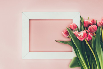 beautiful pink tulip flowers with green leaves and empty white frame on pink