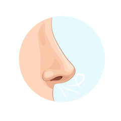 Organ of human smell, nose. Biology, anatomy of man.