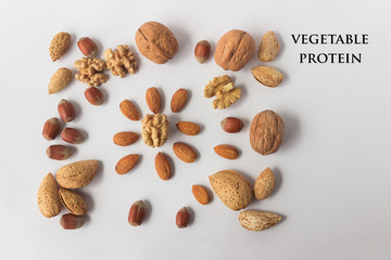 Different types of nuts. A full source of vegetable protein in vegetarianism and raw food. Assorted walnuts, almonds and hazelnuts. Concept - healthy eating. Copy space. Text.