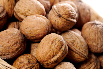 close up of group of walnuts