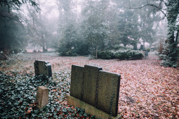 Alter Friedhof in Greifswald im Nebel