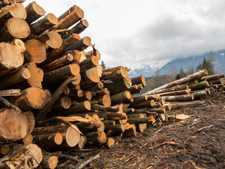 Sturmschädenbeseitigung im Wald