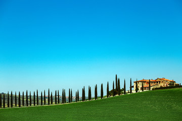 Obraz premium Typical Tuscan landscape