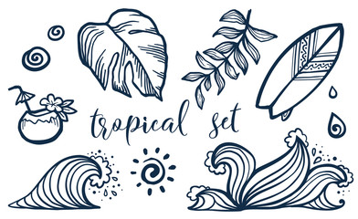 Vector tropical elements set: surfing board, coconut cocktail, waves and leaves