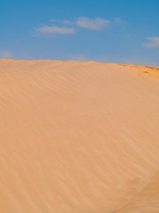 Fototapeta na wymiar Douz-Tunisia, Sahara desert in southern Tunisia, sand dunes