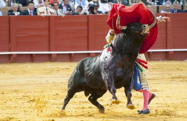 Gordijnen BULLFIGHT  IN SEVILLA, SPAIN © Dom