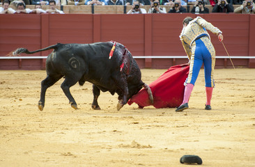 BULLFIGHT  IN SEVILLA, SPAIN