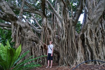 Mann vor riesigem Baum - Urwald - Australien