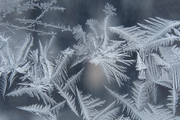 frosty patterns on the window glass closeup