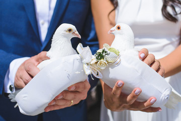 White Doves in Newlyweds' Hands