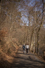 Two walking women in a forest in autumn