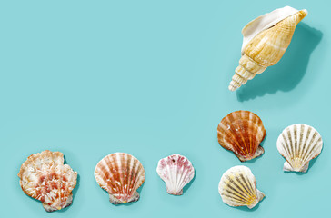 Summer shell on blue flat background 