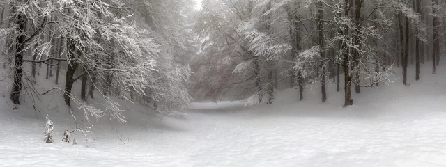 Foto auf Acrylglas Antireflex Verschneiter Waldweg, tagsüber beleuchtet. Hintergrund © Gennaro Leonardi