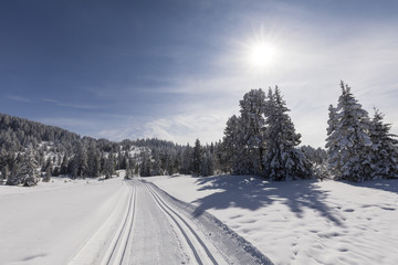 Fototapeta premium Cross-country ski trail on a beautiful winter day in Switzerland