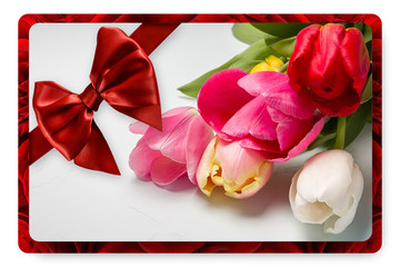 Greeting card with red satin ribbon and bow and tulips, isolated on white background 