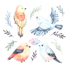 Watercolor illustrations. Four cute birds with green branches and leaves. Spring mood. Floral Design elements. Perfect for invitations, postcards, prints and posters