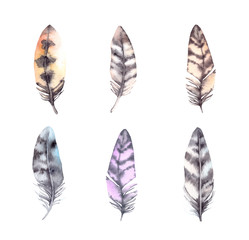 Hand drawn watercolor illustration - birds feathers collection. Aquarelle boho set. Isolated on white background. Perfect for invitations, greeting cards, posters, prints