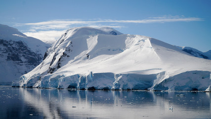 Icebergs reflecting in the calm Paradise Bay in Antarctica.