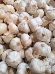 Garlic Background