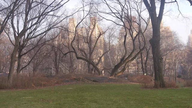 Inside Central Park Surrounded By Trees - Pan - Right To Left