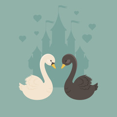 White and black swans in love