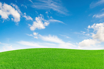 Obraz premium Green field and blue sky with clouds background. with copy space for your text message