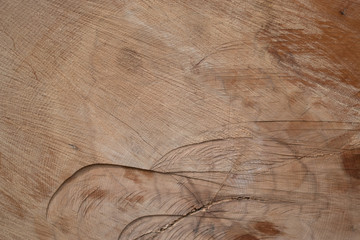 Holzschnitt mit Jahresringen