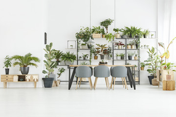 Dining room with plants